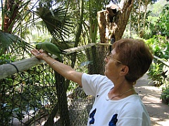 042 Birdworld Kuranda